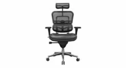 Raynor Ergohuman Mesh Chair With Leather Seat And Headrest LEM4ERG
