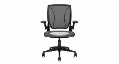 Humanscale Diffrient World Chair