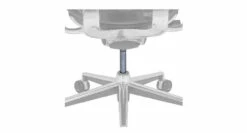 Raynor Ergohuman Cylinder