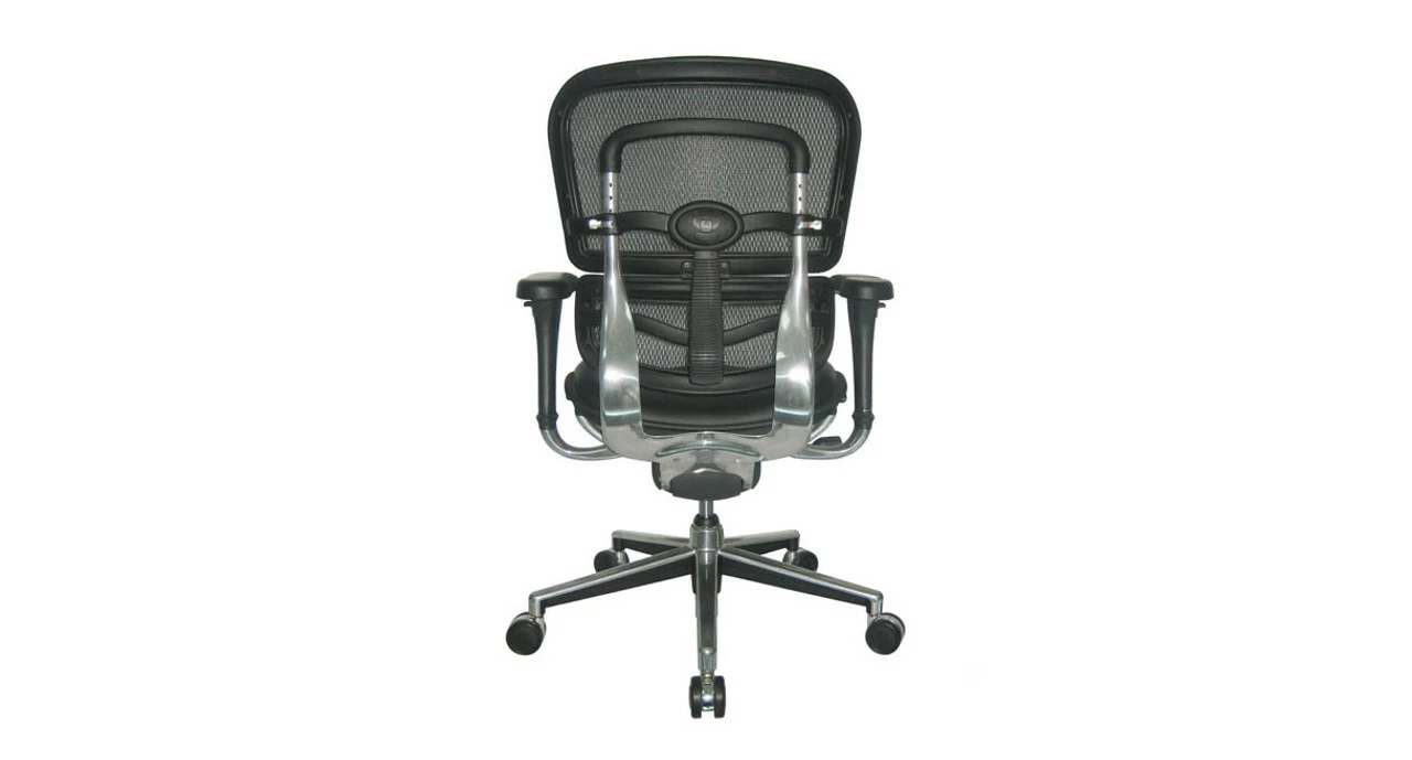 Raynor Ergohuman Chair - Mesh Chair With Leather Seat LEM6ERGLO - Image 2