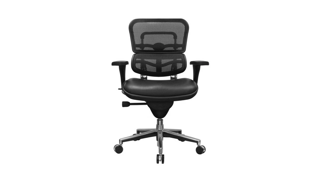 Raynor Ergohuman Chair - Mesh Chair With Leather Seat LEM6ERGLO