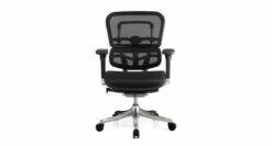 Raynor Ergo Elite Chair ME5ERGLTLO